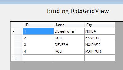 Binding DatagridView